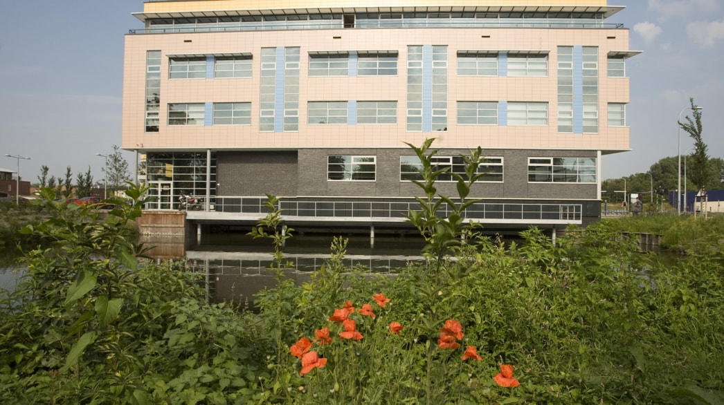 Foto van 