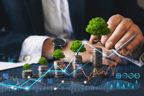 Geld investeren duurzaam